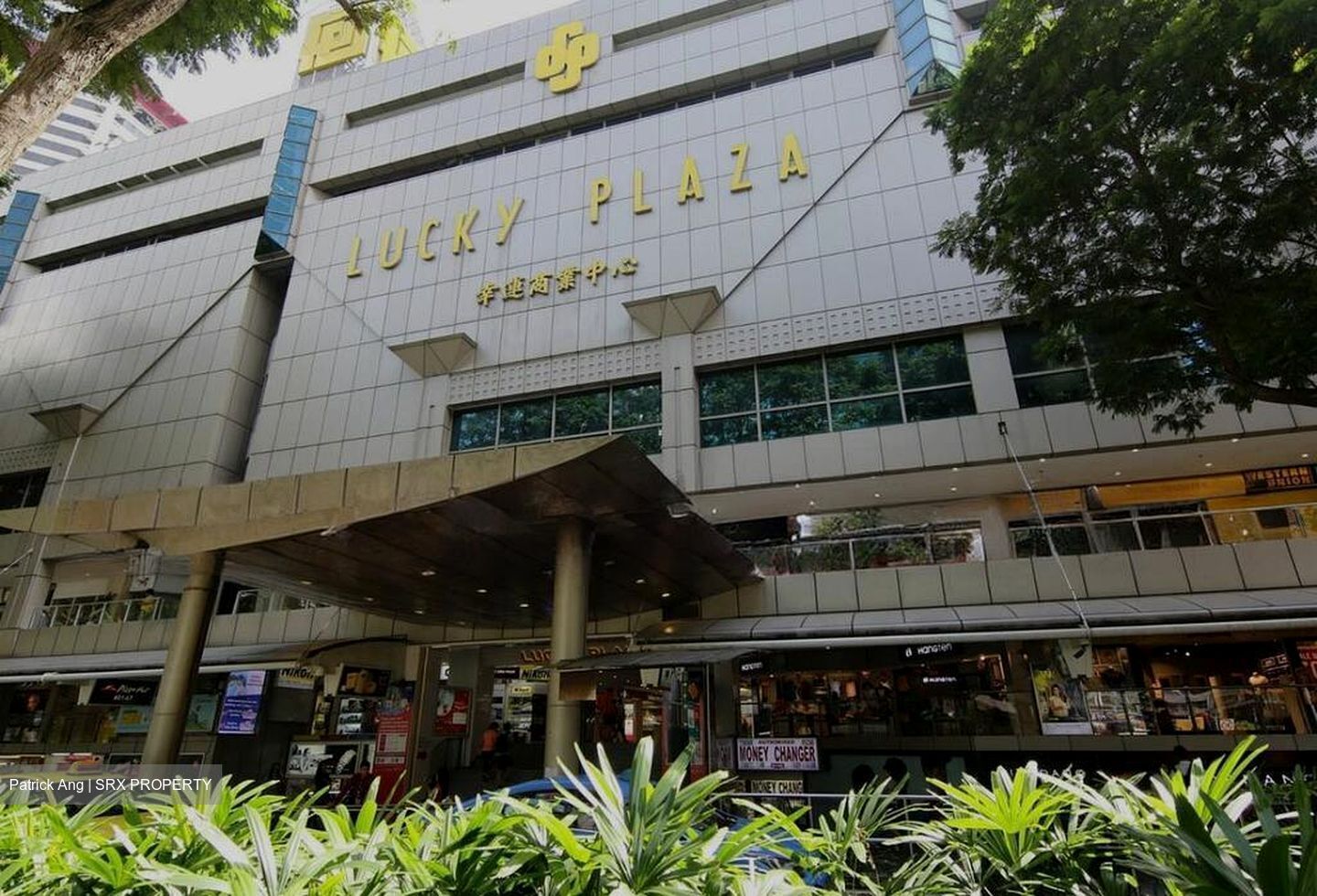 Lucky Plaza (D9), Shop House #578541281